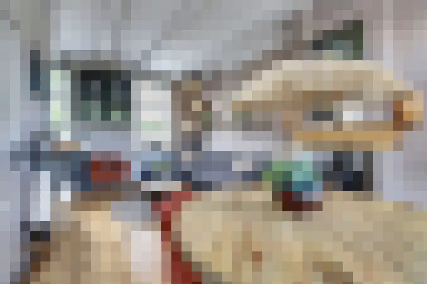 Noordergrachtswal 32 Harlingen thumbnail 8