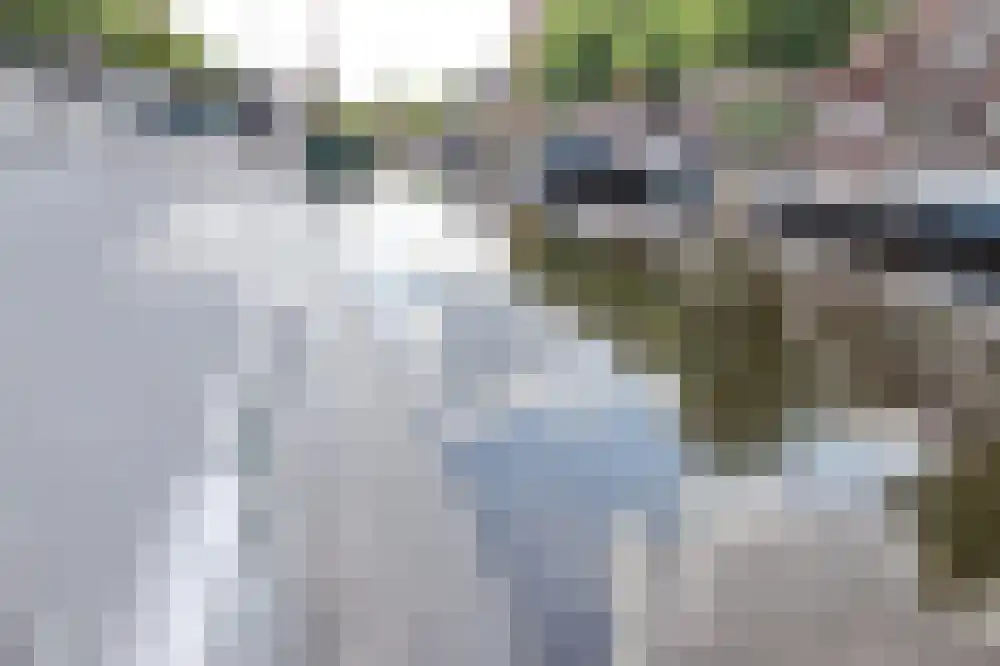 Noorderhaven 1006 Groningen thumbnail 13