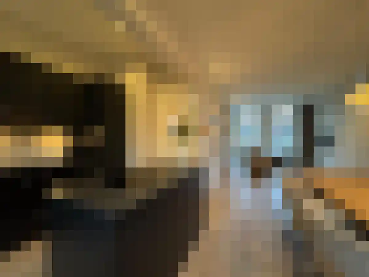 Noorderhaven 39 Groningen thumbnail 4