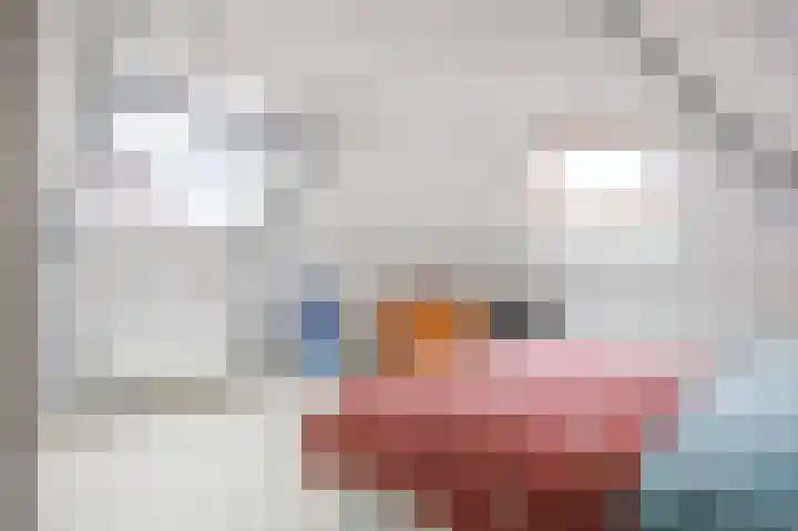 Noorderhaven 43 Groningen thumbnail 25