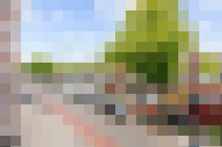 Noorderhaven 43 Groningen thumbnail 8