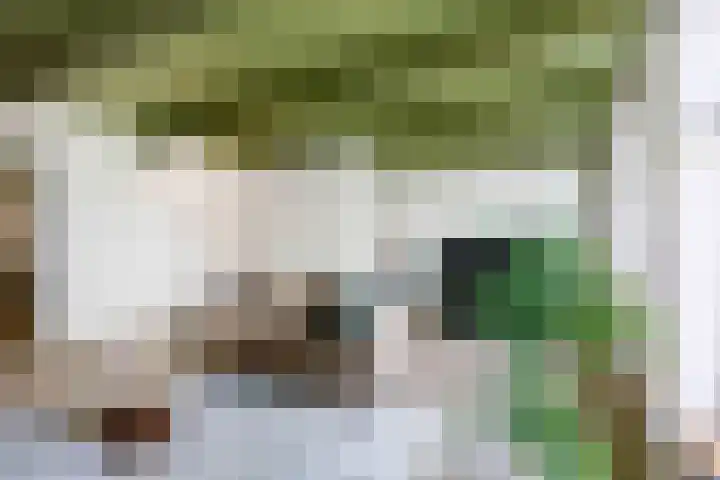 Noorderhaven 48 a Groningen thumbnail 10