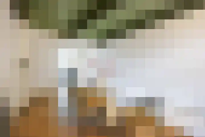 Noorderhaven 48 a Groningen thumbnail 19