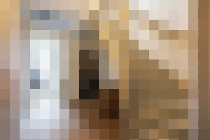 Noorderhaven 48 a Groningen thumbnail 32