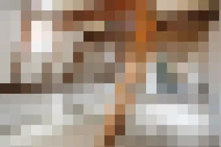 Noorderhaven 48 a Groningen thumbnail 37