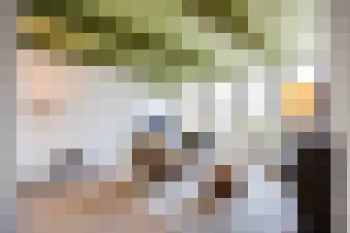 Noorderhaven 48 a Groningen thumbnail 8
