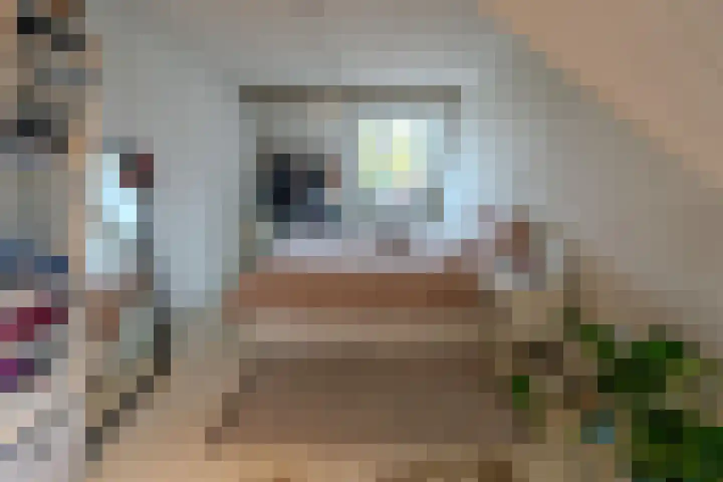 Noorderhaven 56 Groningen thumbnail 15
