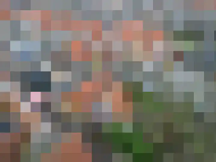 Noorderhaven 59 Harlingen thumbnail 15