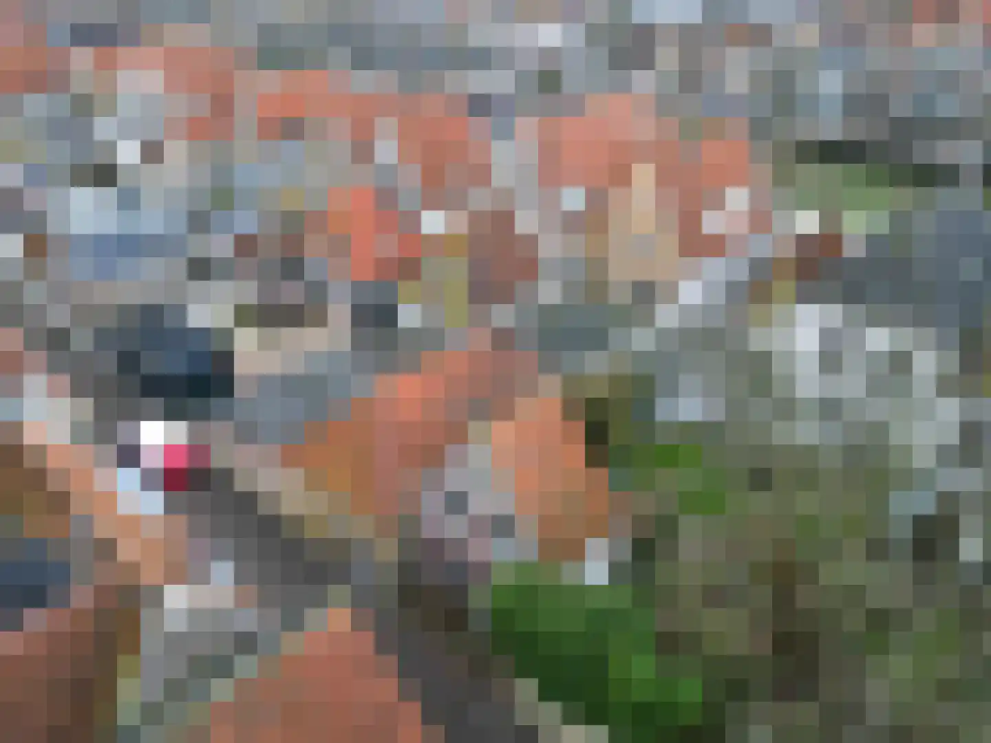 Noorderhaven 59 Harlingen thumbnail 15