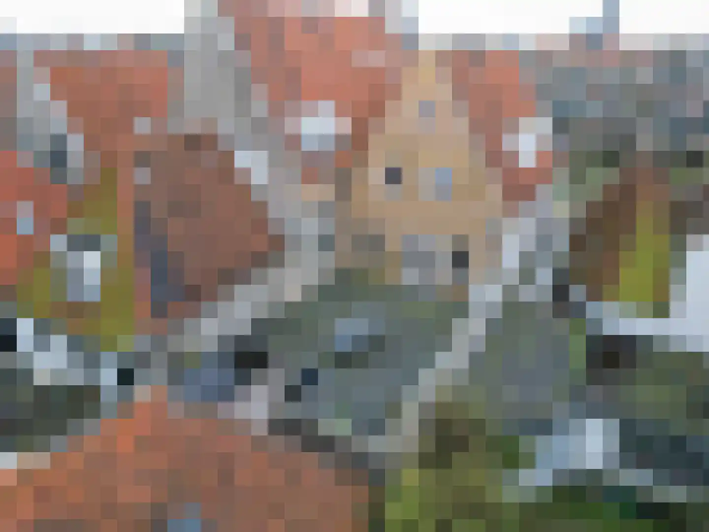 Noorderhaven 59 Harlingen thumbnail 16