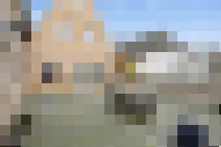 Noorderhaven 59 Harlingen thumbnail 40