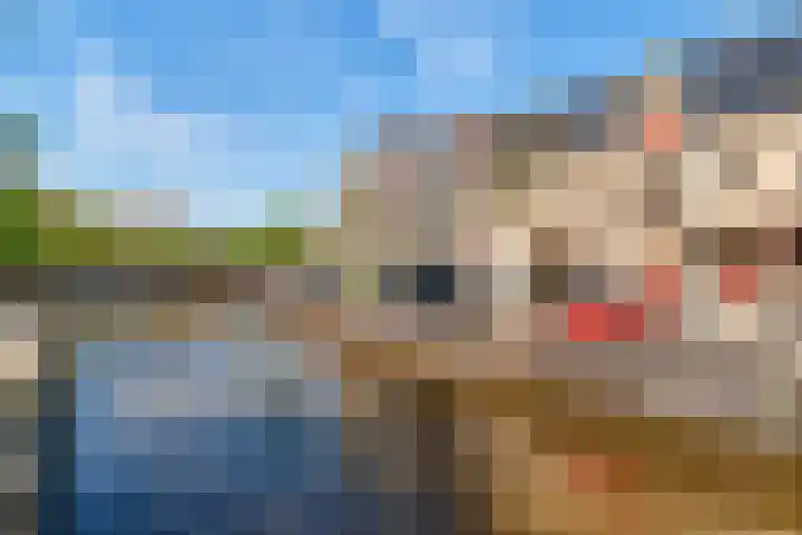 Noorderhaven 70 c Groningen thumbnail 23