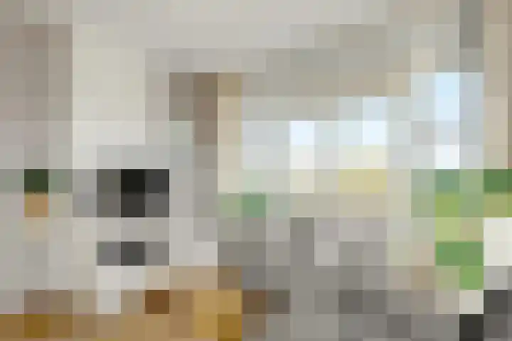 Noorderhavenkade 1 A Rotterdam thumbnail 11