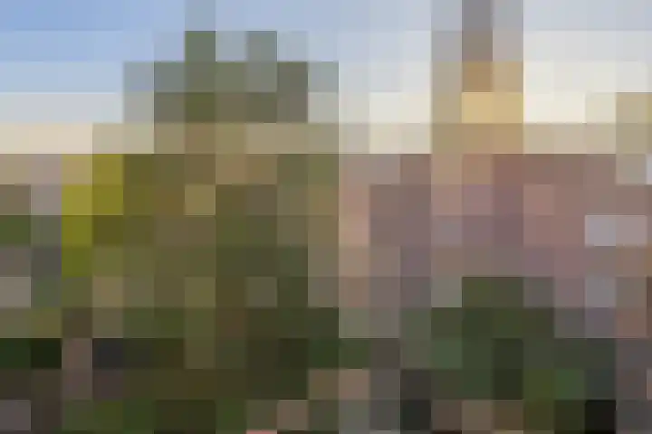 Noorderhavenkade 101 A 03 Rotterdam thumbnail 14
