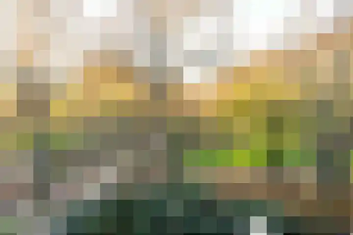 Noorderhavenkade 101 A 03 Rotterdam thumbnail 19