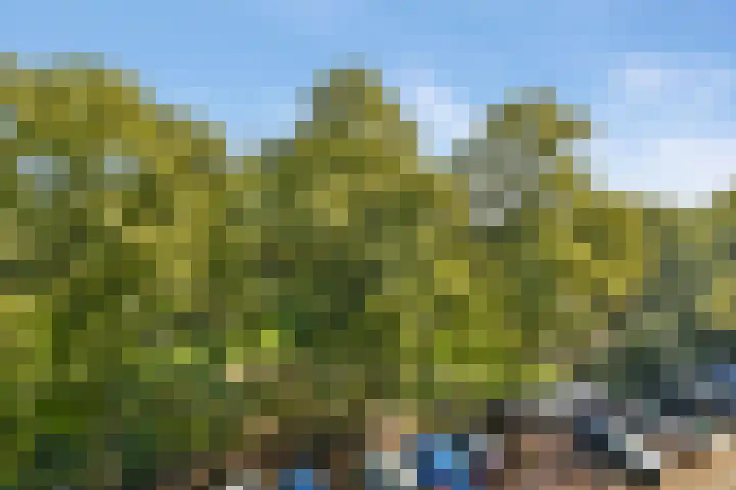 Noorderhavenkade 105 A 03 Rotterdam thumbnail 21