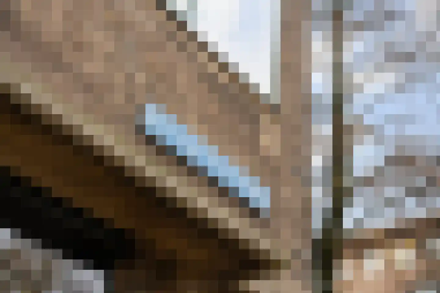 Noorderhavenkade 109 B Rotterdam thumbnail 28
