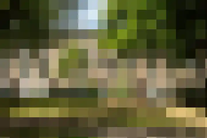 Noorderhavenkade 111 A Rotterdam thumbnail 52