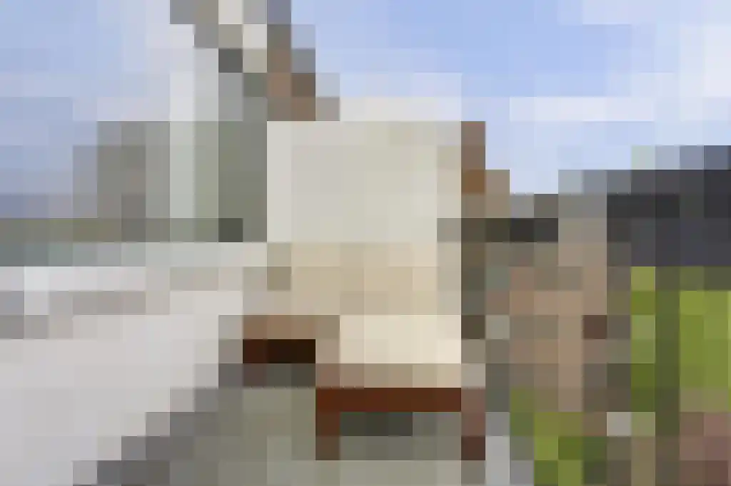 Noorderhavenkade 114 B Rotterdam thumbnail 33