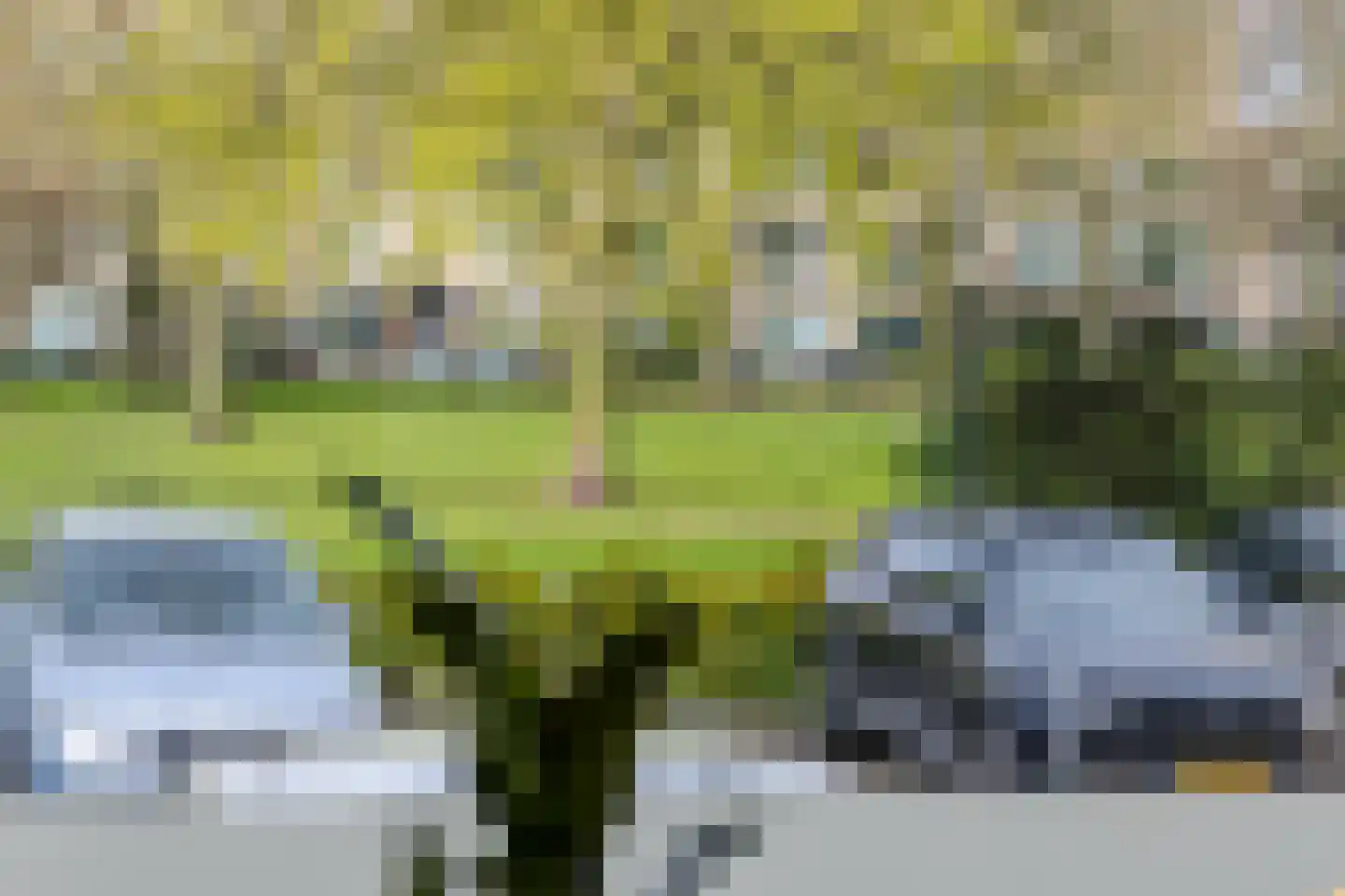 Noorderhavenkade 124 B 03 Rotterdam thumbnail 22