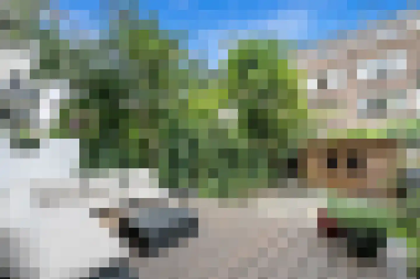 Noorderhavenkade 125 C Rotterdam thumbnail 4