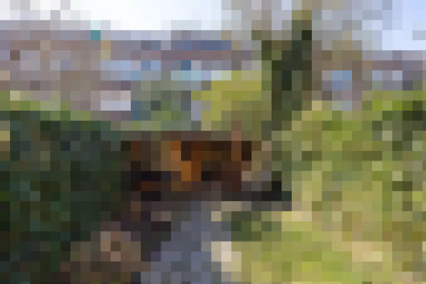 Noorderhavenkade 127 C 02 Rotterdam thumbnail 24