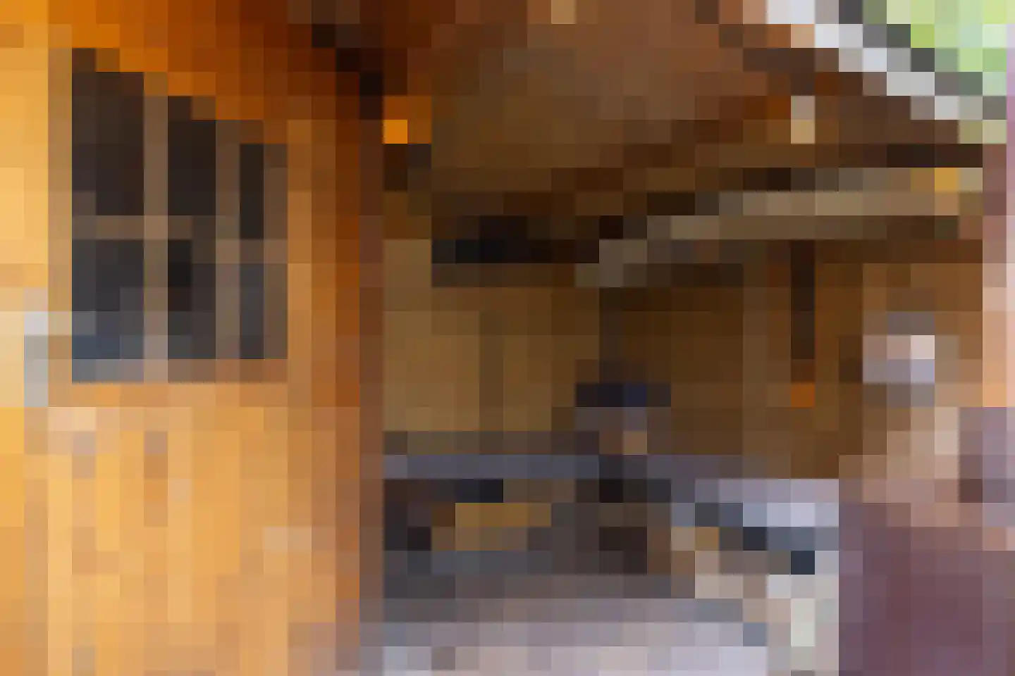 Noorderhavenkade 127 C 02 Rotterdam thumbnail 25