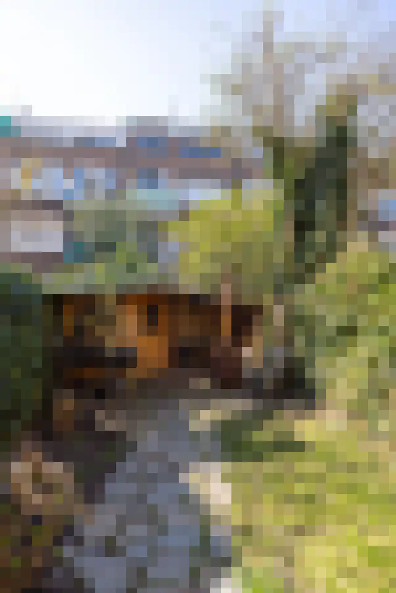 Noorderhavenkade 127 C 02 Rotterdam thumbnail 26