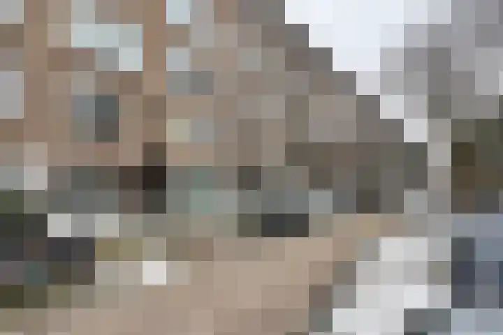 Noorderhavenkade 137 B Rotterdam thumbnail 6