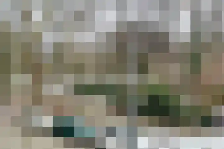 Noorderhavenkade 137 B Rotterdam thumbnail 9