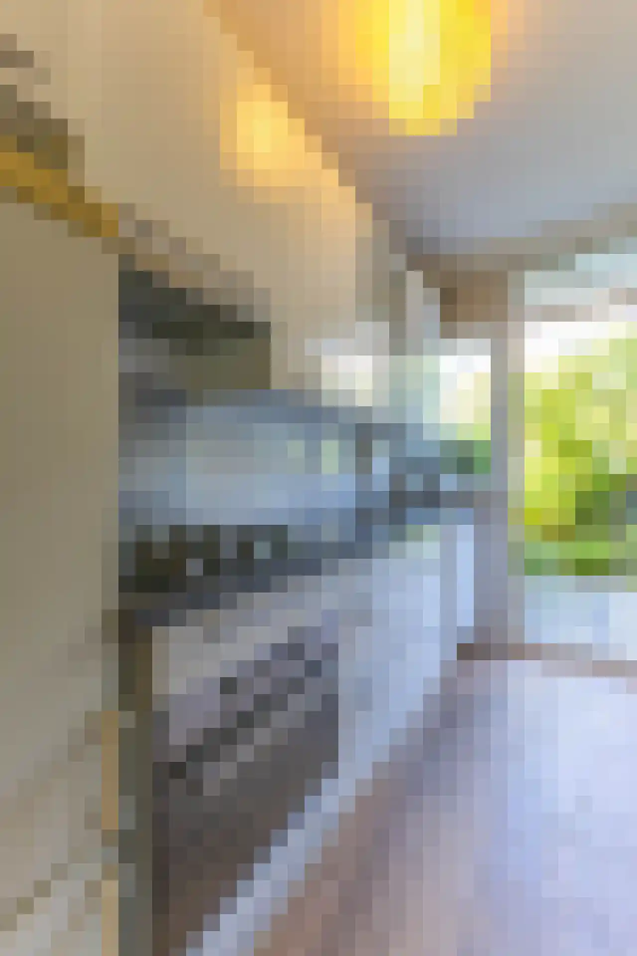 Noorderhavenkade 139 A Rotterdam thumbnail 9