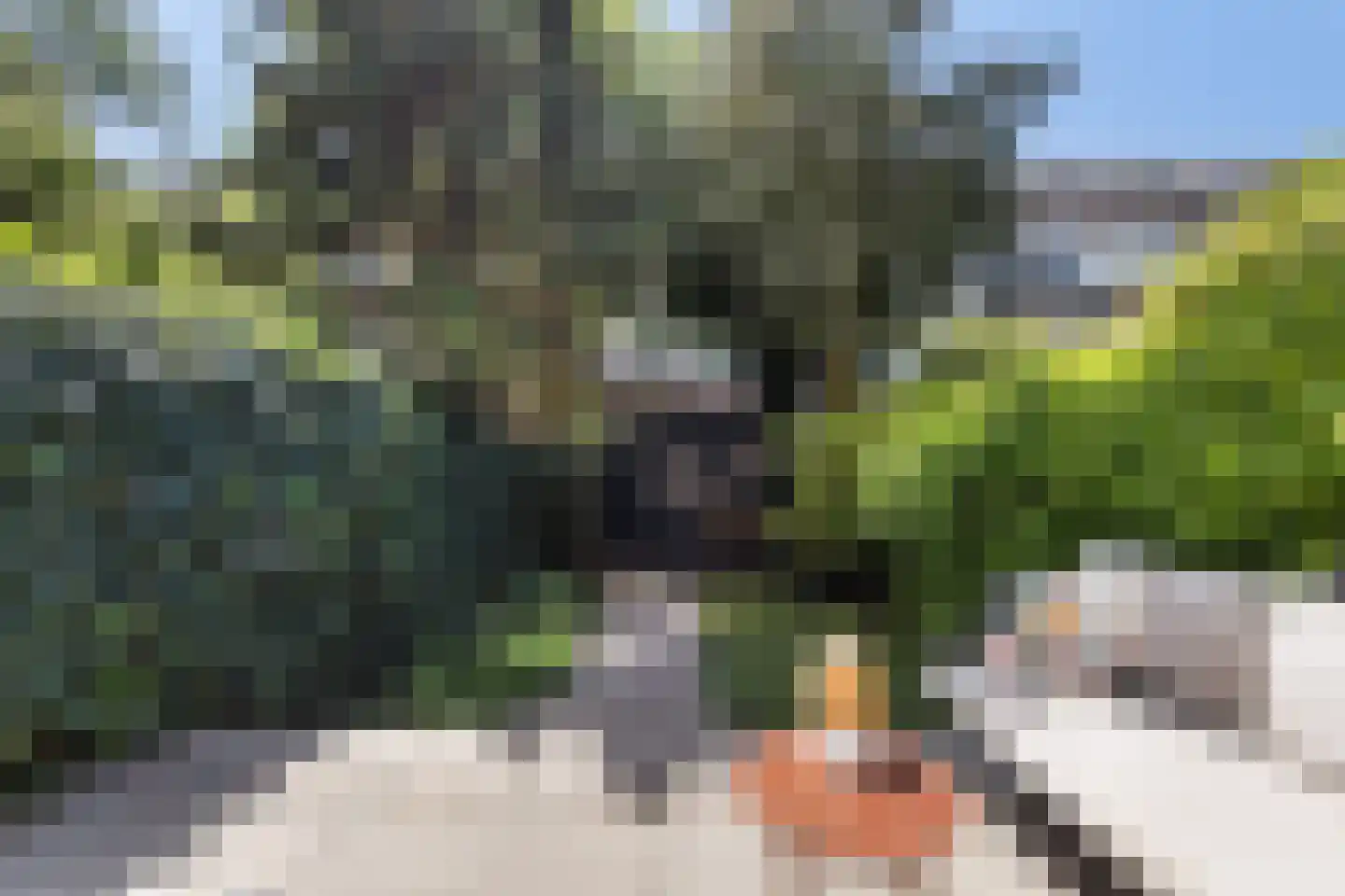 Noorderhavenkade 143 A Rotterdam thumbnail 21