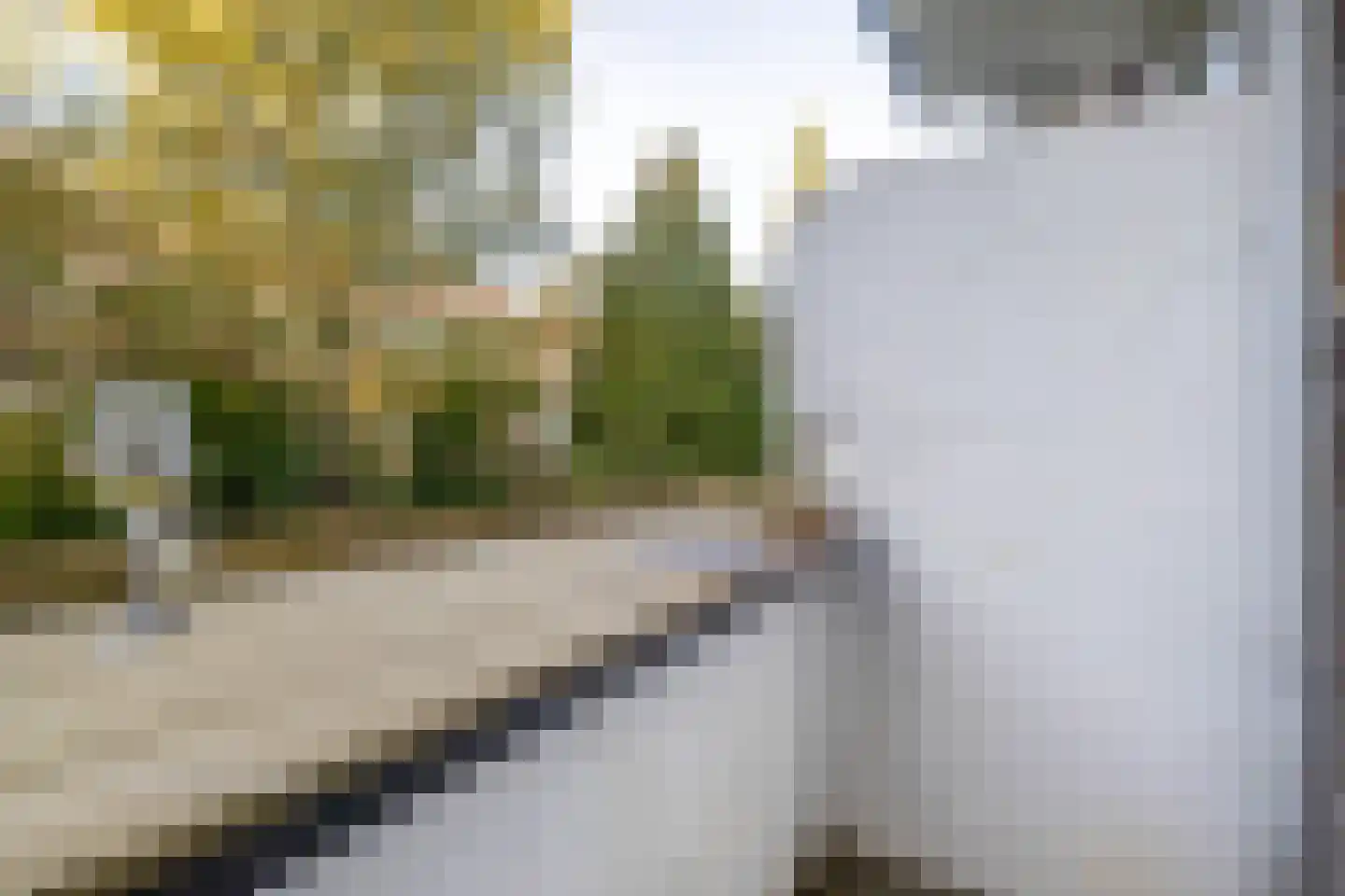Noorderhavenkade 153 B Rotterdam thumbnail 25