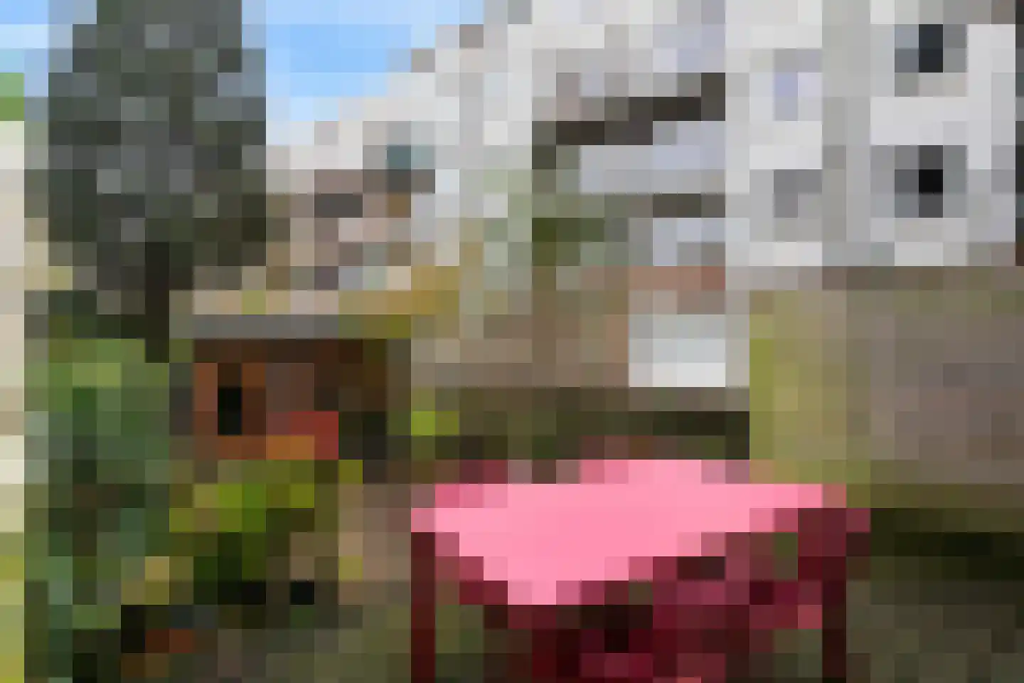 Noorderhavenkade 156 A Rotterdam thumbnail 23