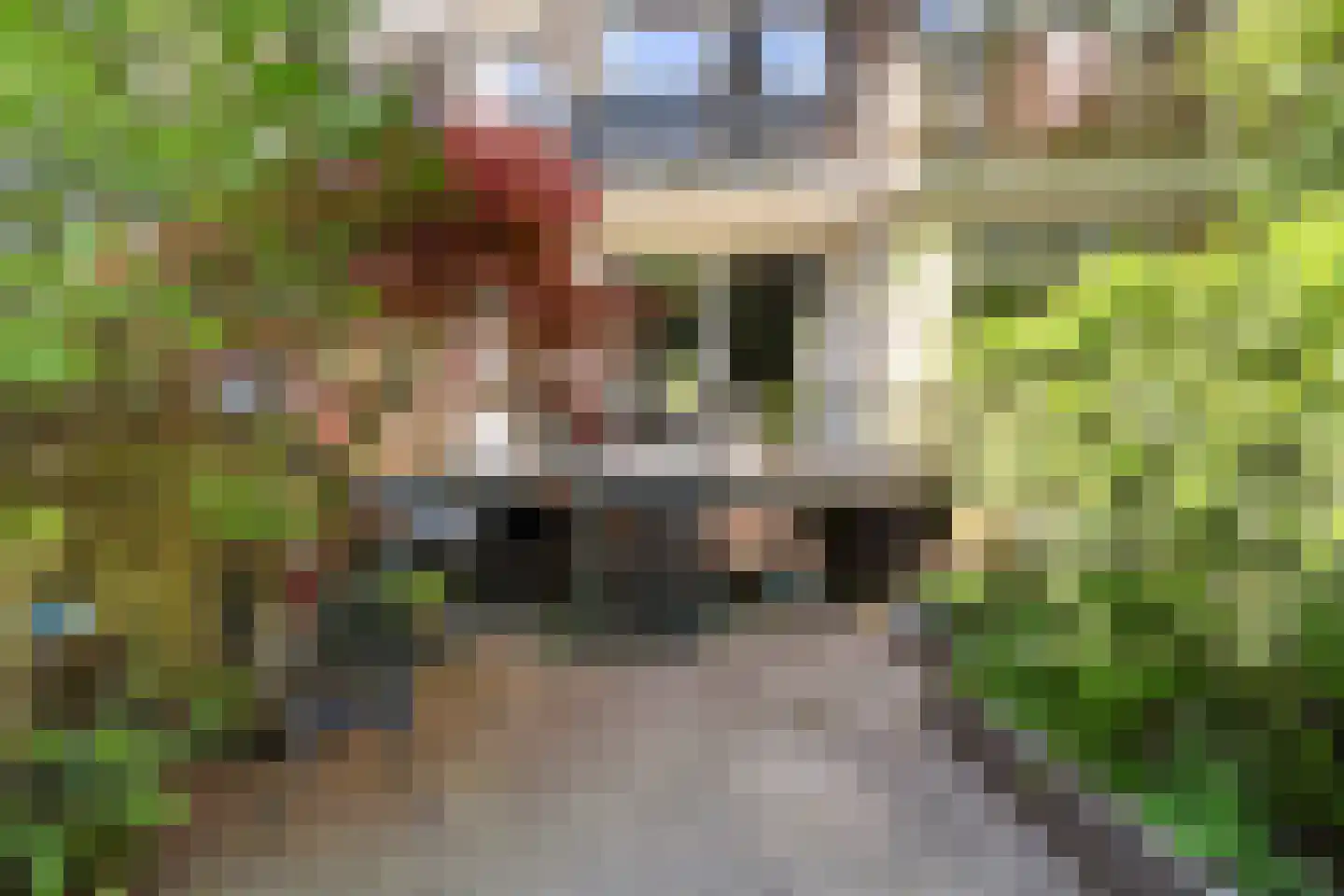 Noorderhavenkade 156 B Rotterdam thumbnail 28