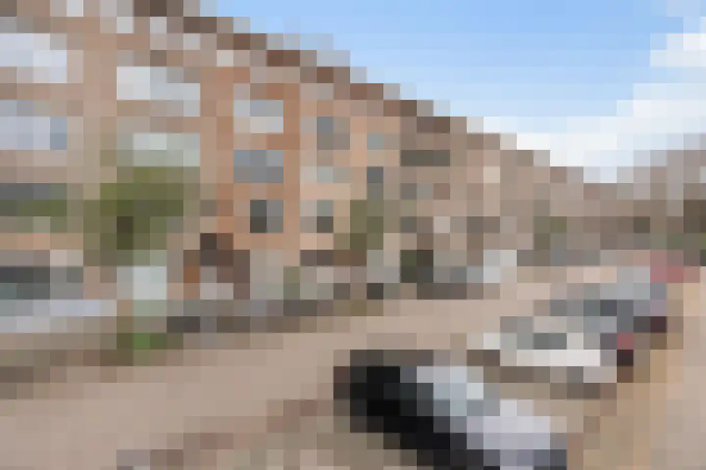 Noorderhavenkade 157 B Rotterdam thumbnail 26