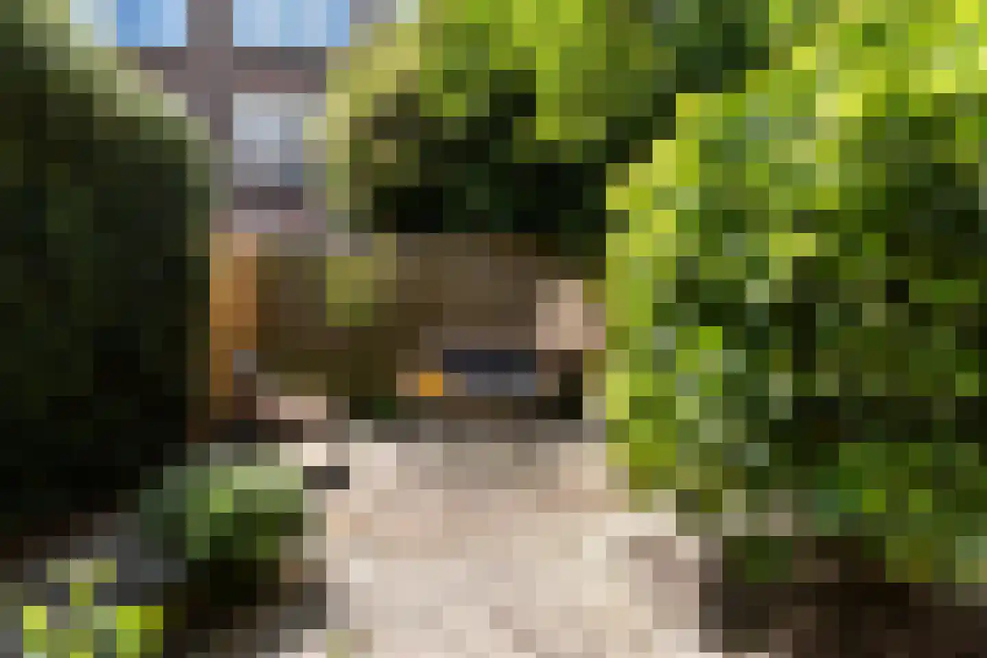 Noorderhavenkade 161 A 03 Rotterdam thumbnail 15