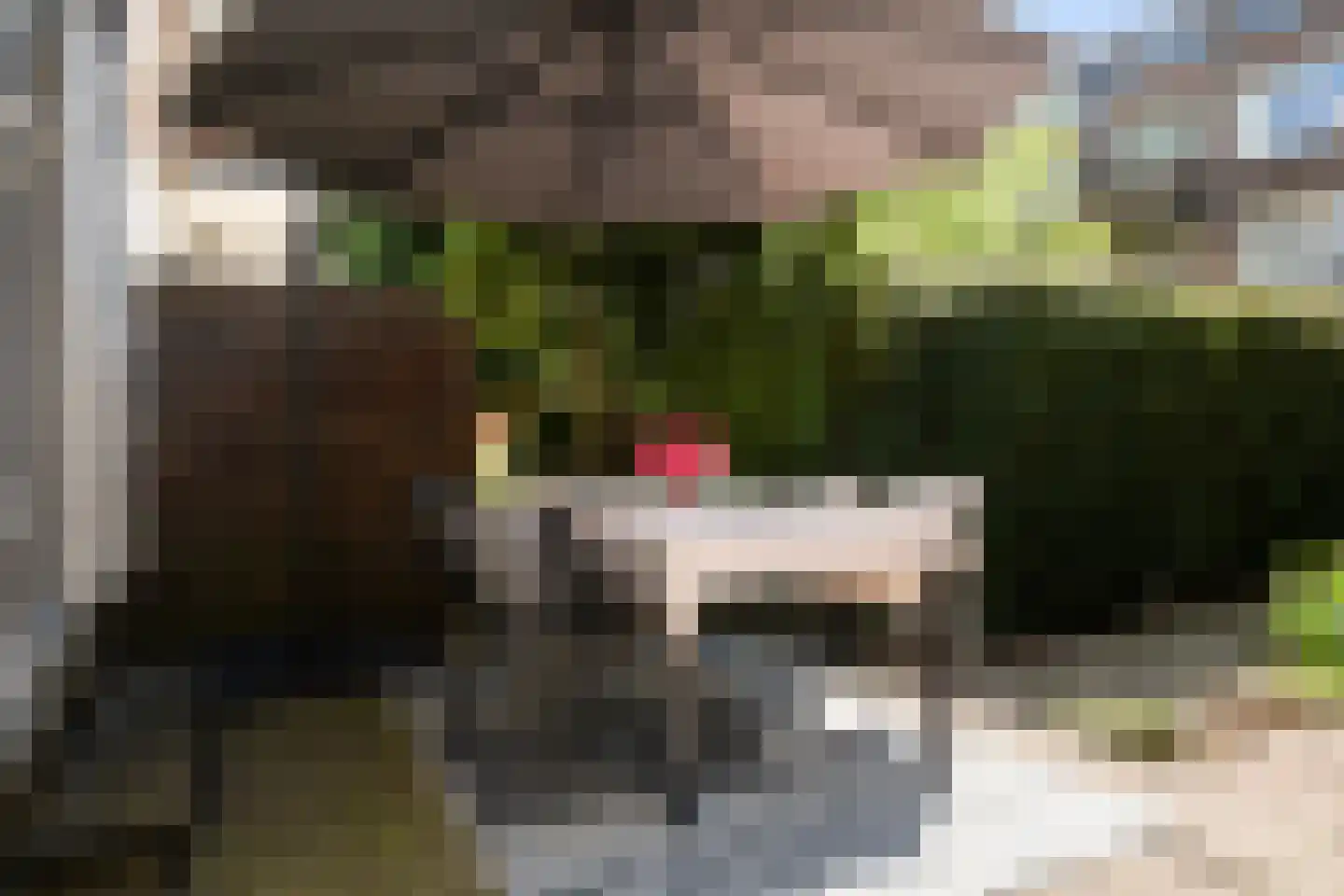 Noorderhavenkade 161 A 03 Rotterdam thumbnail 17