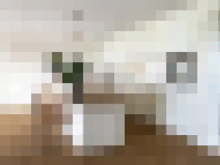 Noorderhavenkade 19 Zutphen thumbnail 15