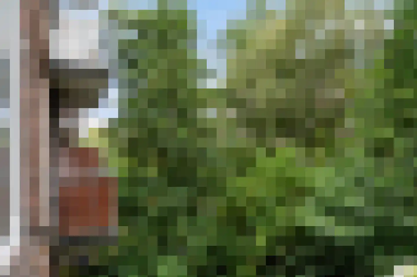 Noorderhavenkade 27 B Rotterdam thumbnail 14