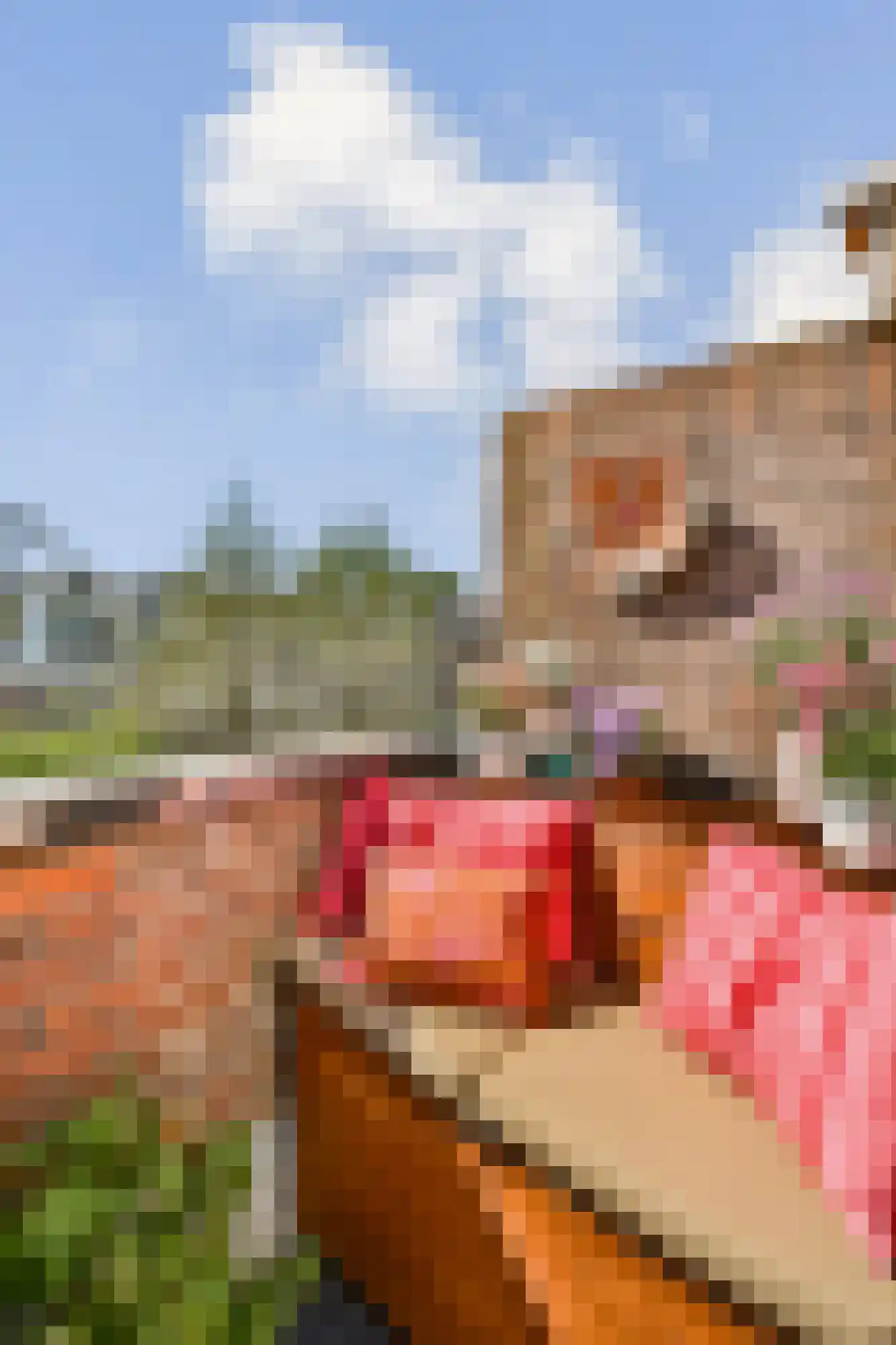 Noorderhavenkade 31 B Rotterdam thumbnail 12