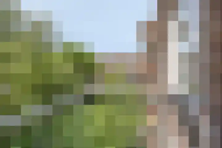 Noorderhavenkade 33 C 03 Rotterdam thumbnail 9