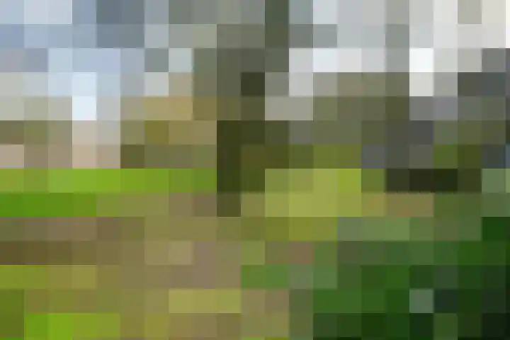 Noorderhavenkade 43 C Rotterdam thumbnail 22