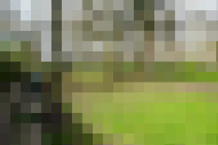 Noorderhavenkade 43 C Rotterdam thumbnail 23
