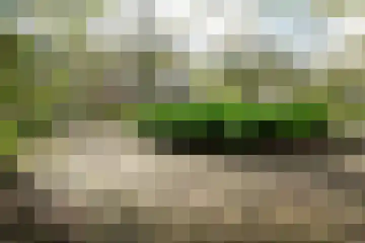Noorderhavenkade 43 C Rotterdam thumbnail 24