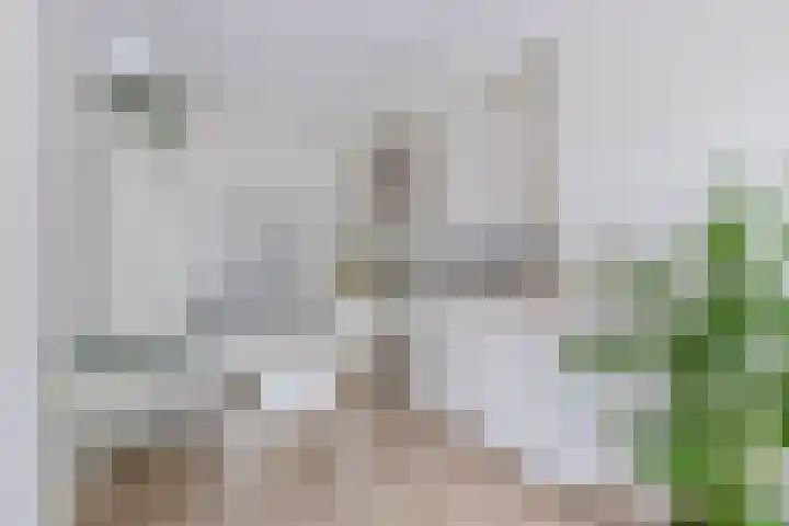 Noorderhavenkade 44 B 02 Rotterdam thumbnail 14