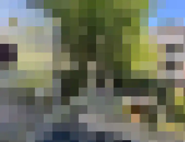 Noorderhavenkade 44 B 02 Rotterdam thumbnail 21
