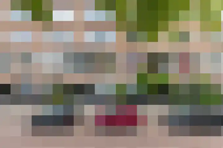 Noorderhavenkade 44 B 02 Rotterdam thumbnail 30