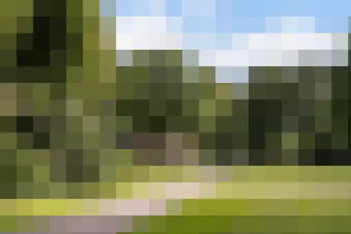 Noorderhavenkade 44 B 02 Rotterdam thumbnail 32