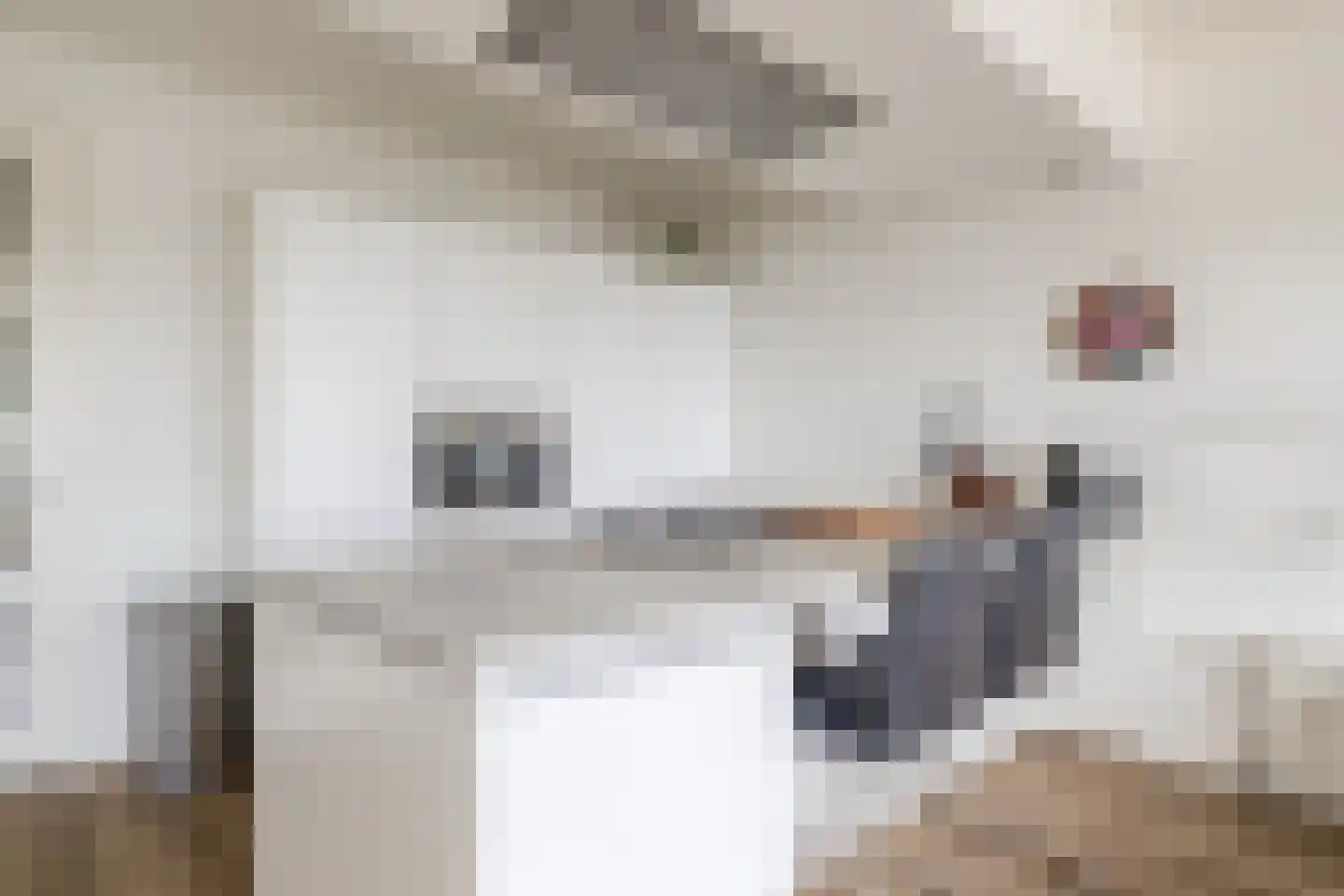 Noorderhavenkade 5 C 03 Rotterdam thumbnail 16